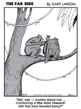 Far Side cartoon of Jane Goodall